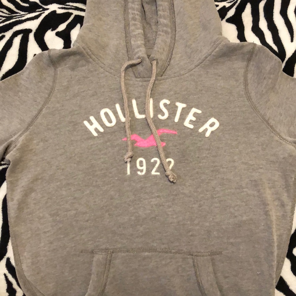 Grey Hollister Sweatshirt.